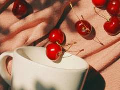 소나무가 무성하면 잣나무도 기뻐한다