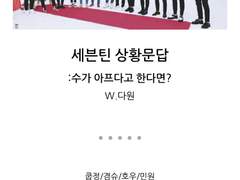 세븑틴 상황문답