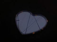 사랑의 모순된 단어