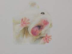 오일파스텔 커미션