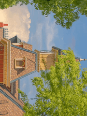 여름을 닮은 남자애