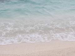 [장추] What are you thinking about