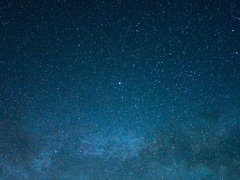 말의 공명, 괴수영화