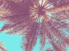 갠홈 css 메모용