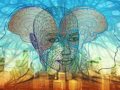 내 탓도 네 탓도 아닌, 뇌 탓이다