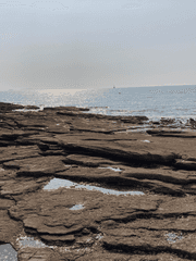 우리의 뒤바뀐 운명..?