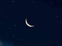 고고하게 만개한, 장미 같은 당신에게.