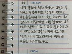 아이스크림 러브 5+