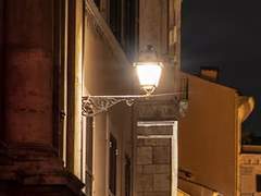 [스팁리차]금빛은 격정을 의미한다