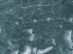 폐교로 구경 갔다가 죽을뻔했다.