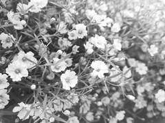 들리지 않을 이들에게