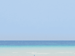 4세대에 관한 고찰