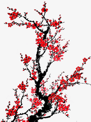 매화 비 내리고