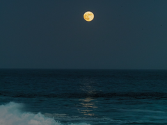 사랑하는 이에게-1