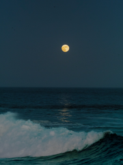 해은 규재 단편