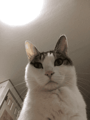 내가 보고 싶은 이것저것