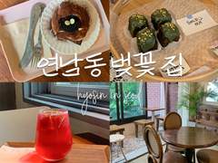 서울 연남동 평일 카페 추천,연남동 벚꽃집_hyosin in seoul