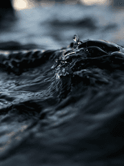 백로야 가지마라