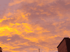 재취업 후 처음으로 동기들을 만난 날