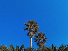 6장. 제주도 및 SNS