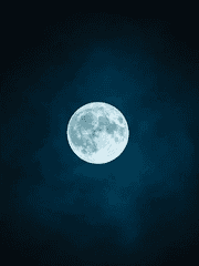 [일태] 사라진 정태의