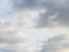 빵떡님 커미션 신청서