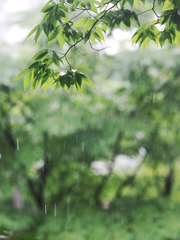 [재이지화] SUMMER