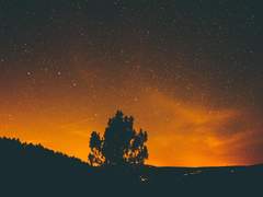 나와 함께 가자 - #01