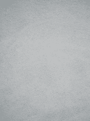 데스티니 가디언즈 자캐설정모음