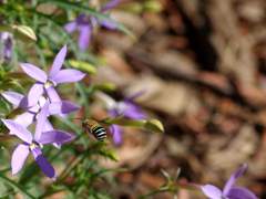 키리타 코가/XY/19