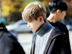 Eustoma russelianum 01