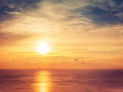 [도위소병] 타초경사(打草驚蛇) - 上