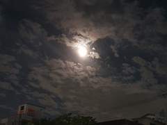 다정함에 대하여