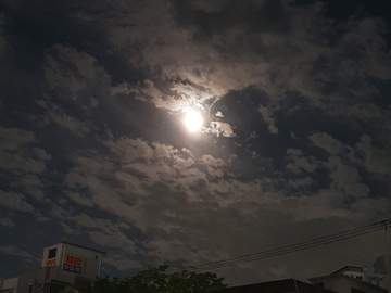 다정함에 대하여