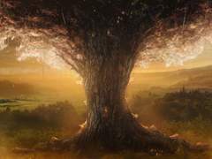 마법, 은빛 월계수 아래서 2, 글콘티