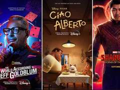 Disneyplus.com login/begin: How do I enter the 8-digit code?