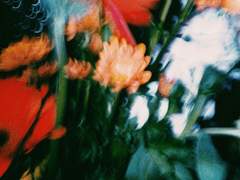 모든 것이 必然으로 모아지는