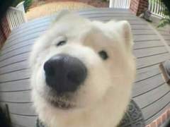 어스파 피터 파커 천사님을 모십니다!