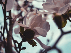 [주원동식] 사랑에 대하여 2