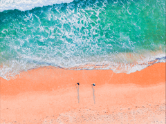 적어도 네 옆에는 내가, (下-下)