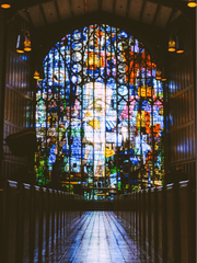 마지막 세계의 앨리스