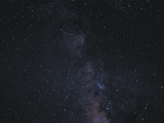 부정맥 동상이몽