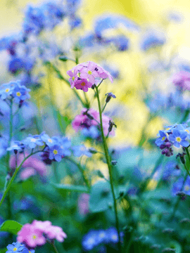 이윽고 나는 네게 파란이 된다.