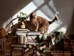 웹툰회사가 웹툰을 깔봐?… 작가들 열받았다