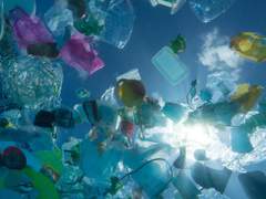 [00/프롤로그] 레스웨이스트를 왜 하는데요