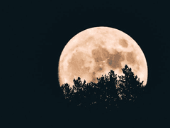 [스네헤르] NIGHTMARE -03