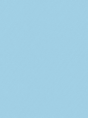 조개껍데기는 녹슬지 않는다