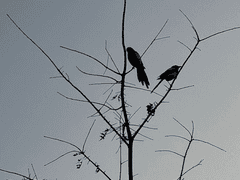 2022년 01월 02일_그럼