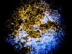 [프란시스] 진리가 너희를 자유케 하리라