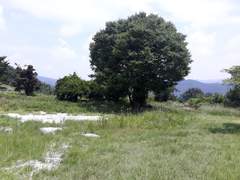 바람타고 멋을 즐기라네요!